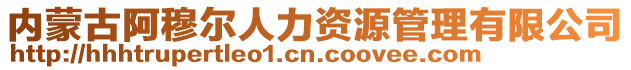 內(nèi)蒙古阿穆爾人力資源管理有限公司