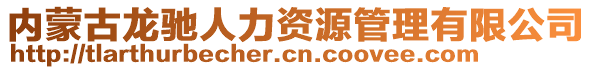 內(nèi)蒙古龍馳人力資源管理有限公司