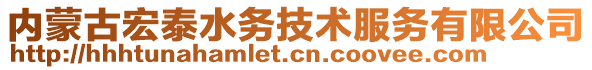 內(nèi)蒙古宏泰水務(wù)技術(shù)服務(wù)有限公司