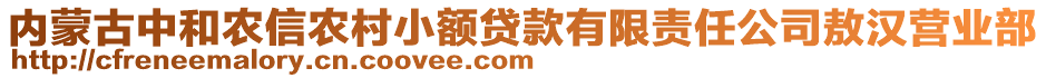 內(nèi)蒙古中和農(nóng)信農(nóng)村小額貸款有限責任公司敖漢營業(yè)部