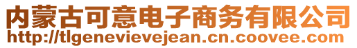 內(nèi)蒙古可意電子商務(wù)有限公司