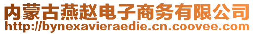 內(nèi)蒙古燕趙電子商務(wù)有限公司