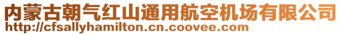 內(nèi)蒙古朝氣紅山通用航空機(jī)場(chǎng)有限公司