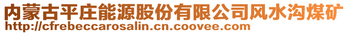 內(nèi)蒙古平莊能源股份有限公司風(fēng)水溝煤礦