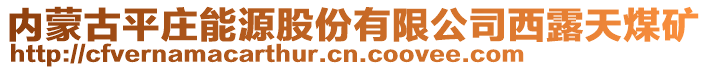 內(nèi)蒙古平莊能源股份有限公司西露天煤礦