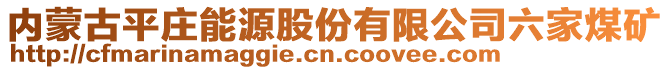 內(nèi)蒙古平莊能源股份有限公司六家煤礦