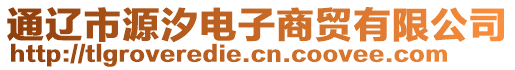 通遼市源汐電子商貿(mào)有限公司