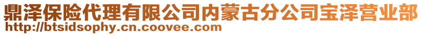 鼎澤保險(xiǎn)代理有限公司內(nèi)蒙古分公司寶澤營業(yè)部