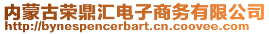 內(nèi)蒙古榮鼎匯電子商務(wù)有限公司