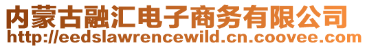 內(nèi)蒙古融匯電子商務(wù)有限公司