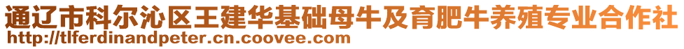 通遼市科爾沁區(qū)王建華基礎(chǔ)母牛及育肥牛養(yǎng)殖專(zhuān)業(yè)合作社