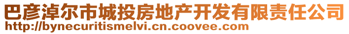 巴彥淖爾市城投房地產(chǎn)開發(fā)有限責任公司