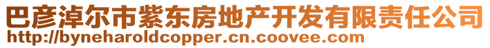 巴彥淖爾市紫東房地產(chǎn)開(kāi)發(fā)有限責(zé)任公司