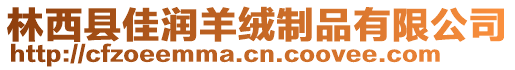 林西縣佳潤羊絨制品有限公司