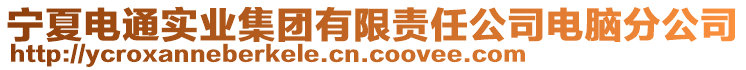 寧夏電通實(shí)業(yè)集團(tuán)有限責(zé)任公司電腦分公司