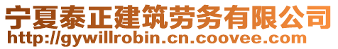 寧夏泰正建筑勞務(wù)有限公司