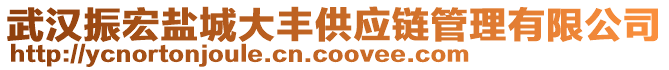 武漢振宏鹽城大豐供應(yīng)鏈管理有限公司