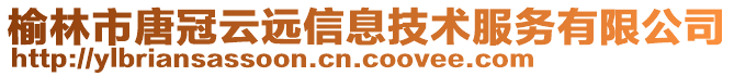 榆林市唐冠云遠(yuǎn)信息技術(shù)服務(wù)有限公司