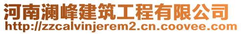 河南瀾峰建筑工程有限公司