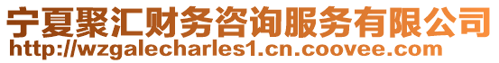 寧夏聚匯財(cái)務(wù)咨詢(xún)服務(wù)有限公司