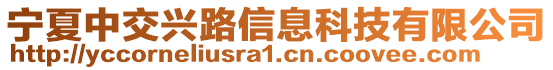 寧夏中交興路信息科技有限公司