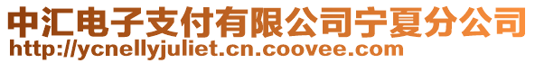 中匯電子支付有限公司寧夏分公司