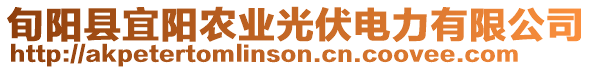 旬陽(yáng)縣宜陽(yáng)農(nóng)業(yè)光伏電力有限公司