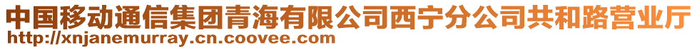 中国移动通信集团青海有限公司西宁分公司共和路营业厅