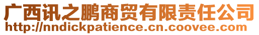 廣西訊之鵬商貿有限責任公司