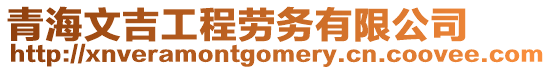 青海文吉工程勞務(wù)有限公司