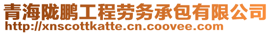 青海隴鵬工程勞務(wù)承包有限公司