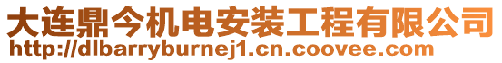 大連鼎今機(jī)電安裝工程有限公司