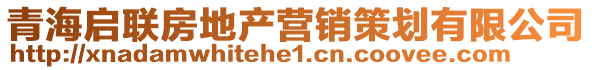 青海啟聯(lián)房地產(chǎn)營(yíng)銷(xiāo)策劃有限公司