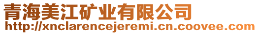 青海美江礦業(yè)有限公司