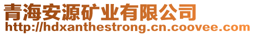 青海安源礦業(yè)有限公司