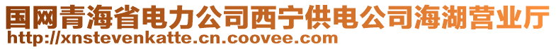 國(guó)網(wǎng)青海省電力公司西寧供電公司海湖營(yíng)業(yè)廳