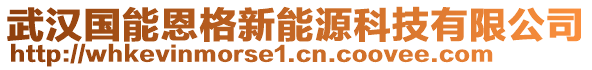 武漢國(guó)能恩格新能源科技有限公司