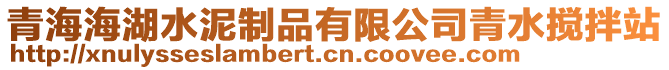 青海海湖水泥制品有限公司青水攪拌站