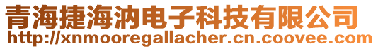 青海捷海汭電子科技有限公司