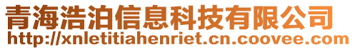 青海浩泊信息科技有限公司