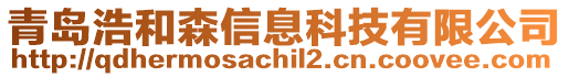 青島浩和森信息科技有限公司