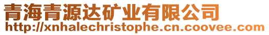 青海青源達(dá)礦業(yè)有限公司