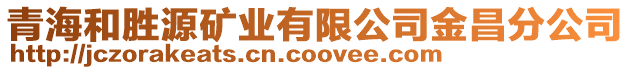 青海和勝源礦業(yè)有限公司金昌分公司