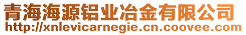青海海源鋁業(yè)冶金有限公司