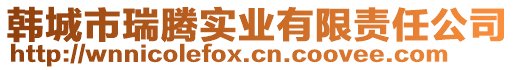 韩城市瑞腾实业有限责任公司