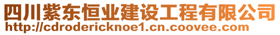 四川紫東恒業(yè)建設(shè)工程有限公司