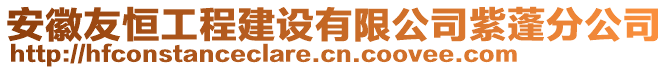 安徽友恒工程建设有限公司紫蓬分公司