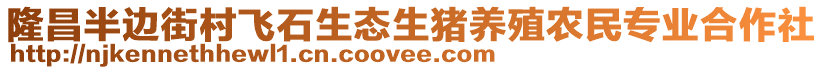 隆昌半邊街村飛石生態(tài)生豬養(yǎng)殖農(nóng)民專業(yè)合作社