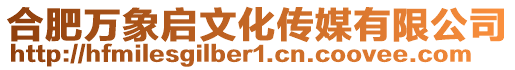 合肥萬象啟文化傳媒有限公司