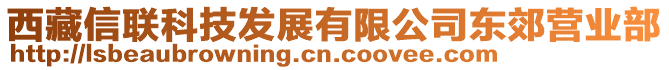 西藏信聯(lián)科技發(fā)展有限公司東郊營業(yè)部